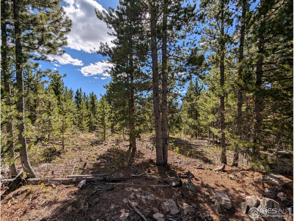 2174 Bear Gulch Road Red Feather Lakes, CO 80545