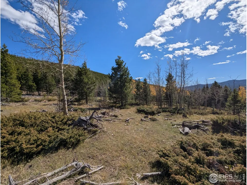 2174 Bear Gulch Road Red Feather Lakes, CO 80545