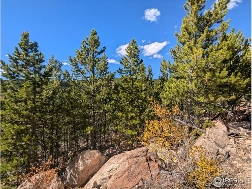 2174 Bear Gulch Road Red Feather Lakes, CO 80545