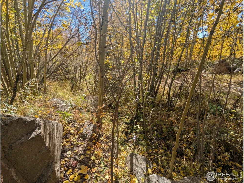 2174 Bear Gulch Road Red Feather Lakes, CO 80545