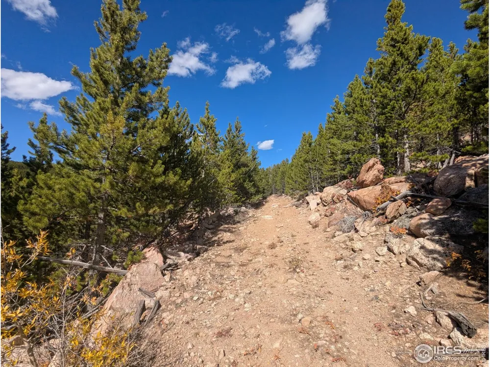 2174 Bear Gulch Road Red Feather Lakes, CO 80545