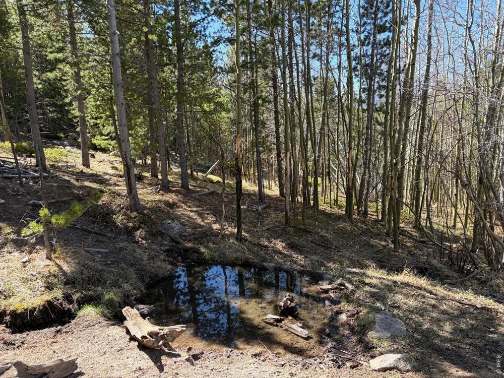 2174 Bear Gulch Road Red Feather Lakes, CO 80545