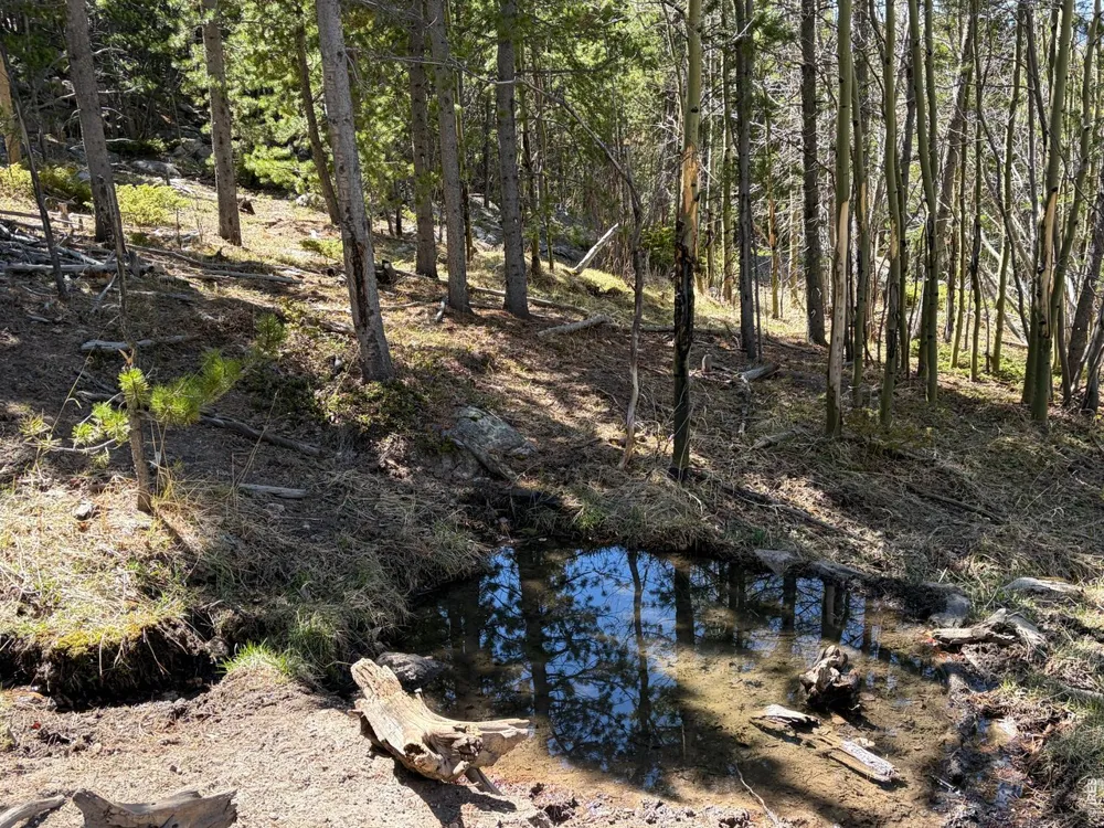 2174 Bear Gulch Road Red Feather Lakes, CO 80545
