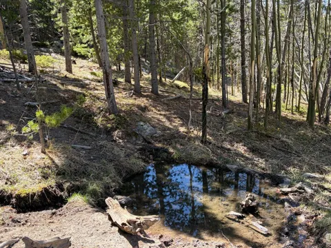 2174 Bear Gulch Road