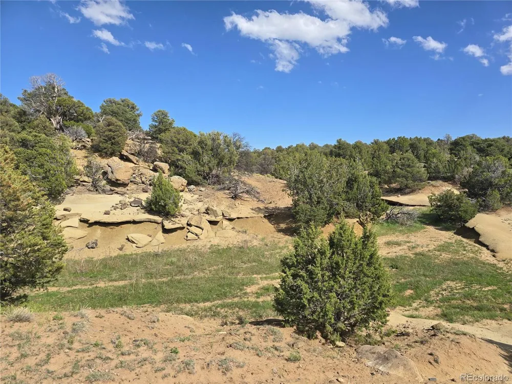 90 River Ridge Ranch Walsenburg, CO 81089