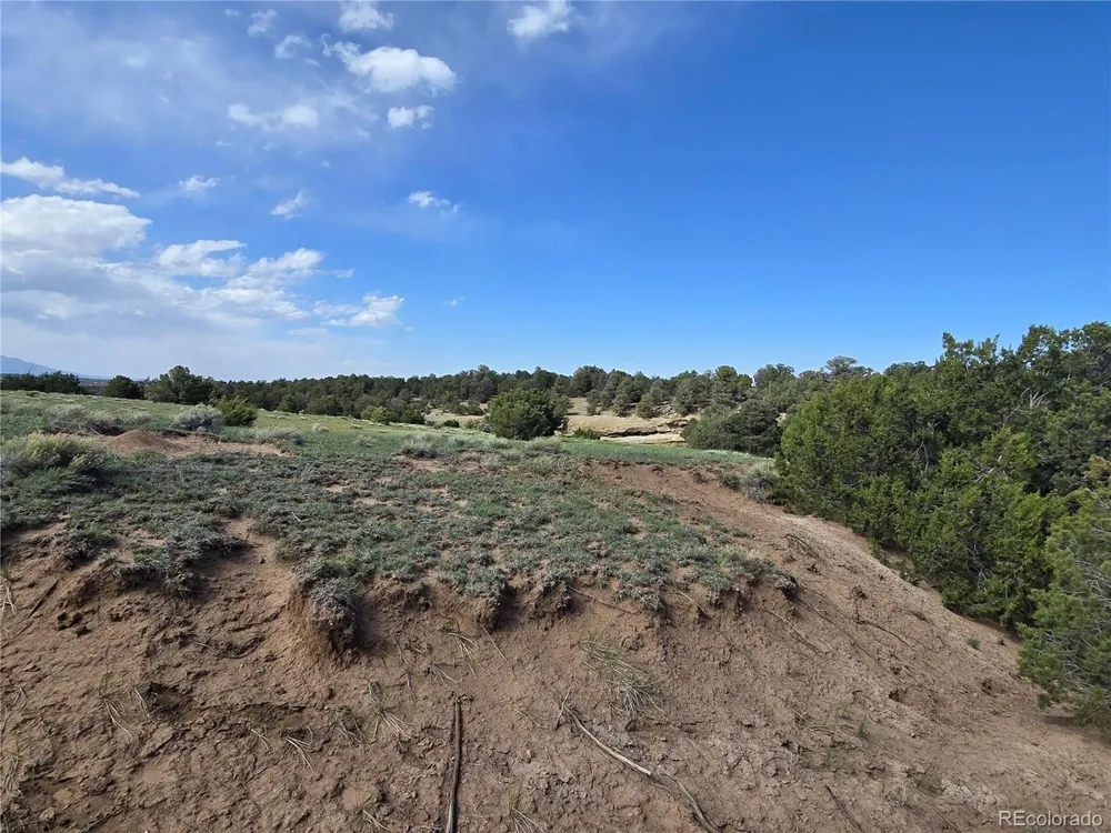 90 River Ridge Ranch Walsenburg, CO 81089