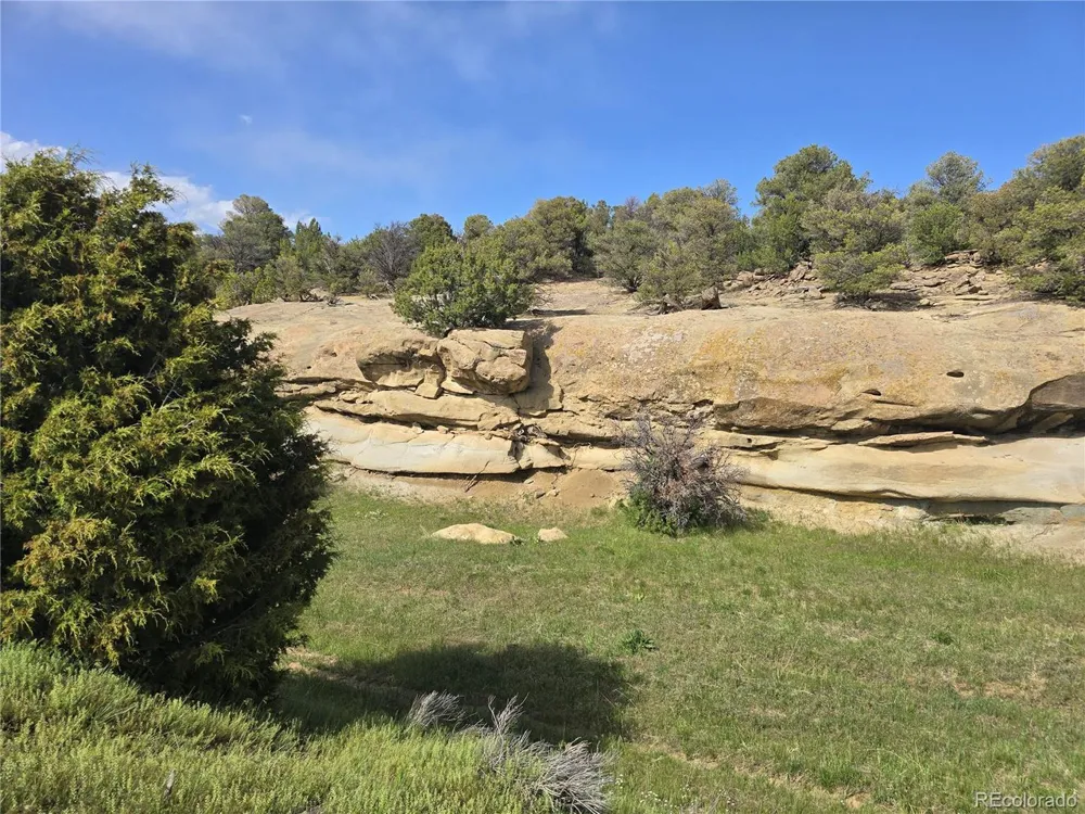 90 River Ridge Ranch Walsenburg, CO 81089