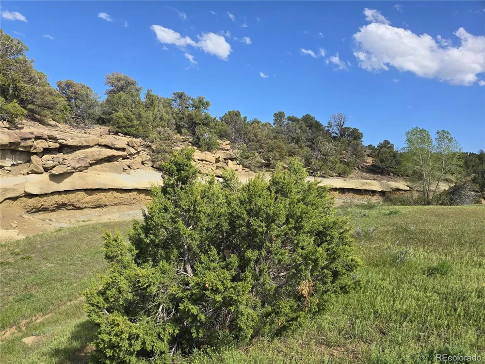 90 River Ridge Ranch Walsenburg, CO 81089