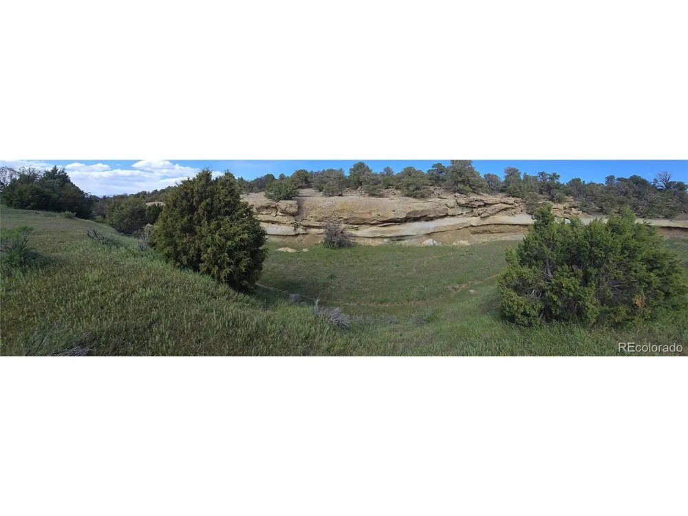 90 River Ridge Ranch Walsenburg, CO 81089