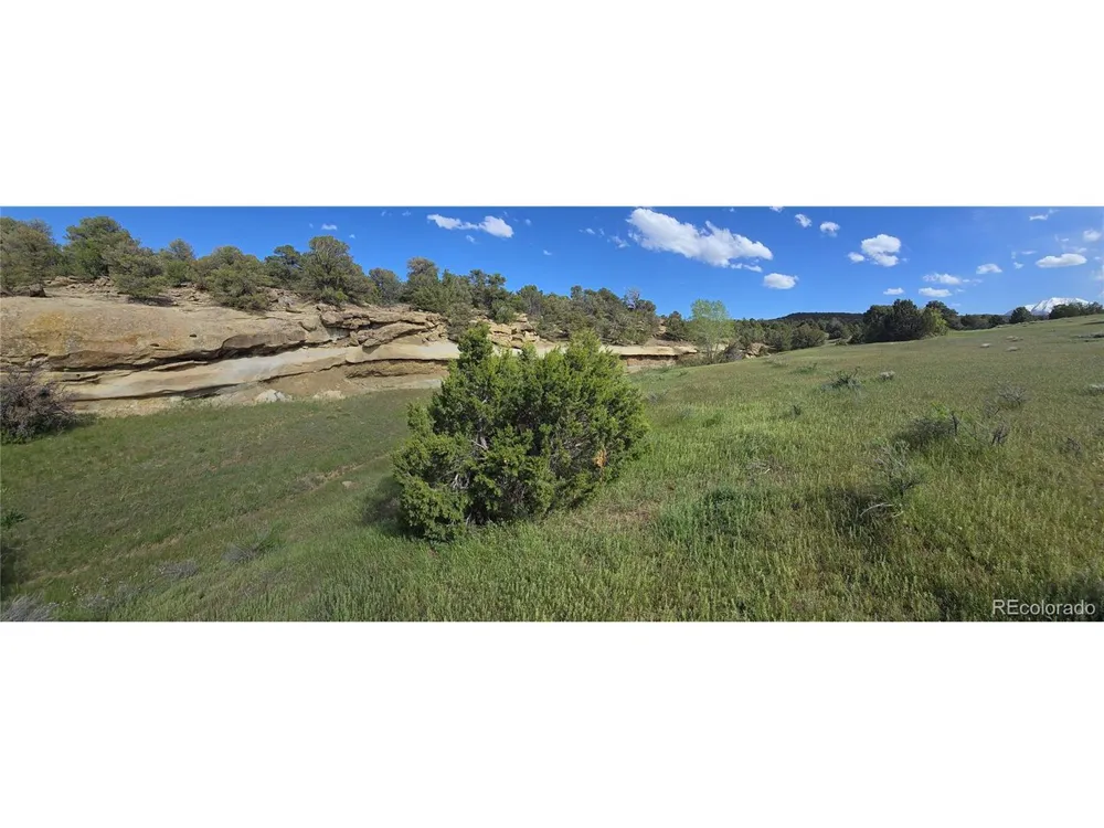 90 River Ridge Ranch Walsenburg, CO 81089