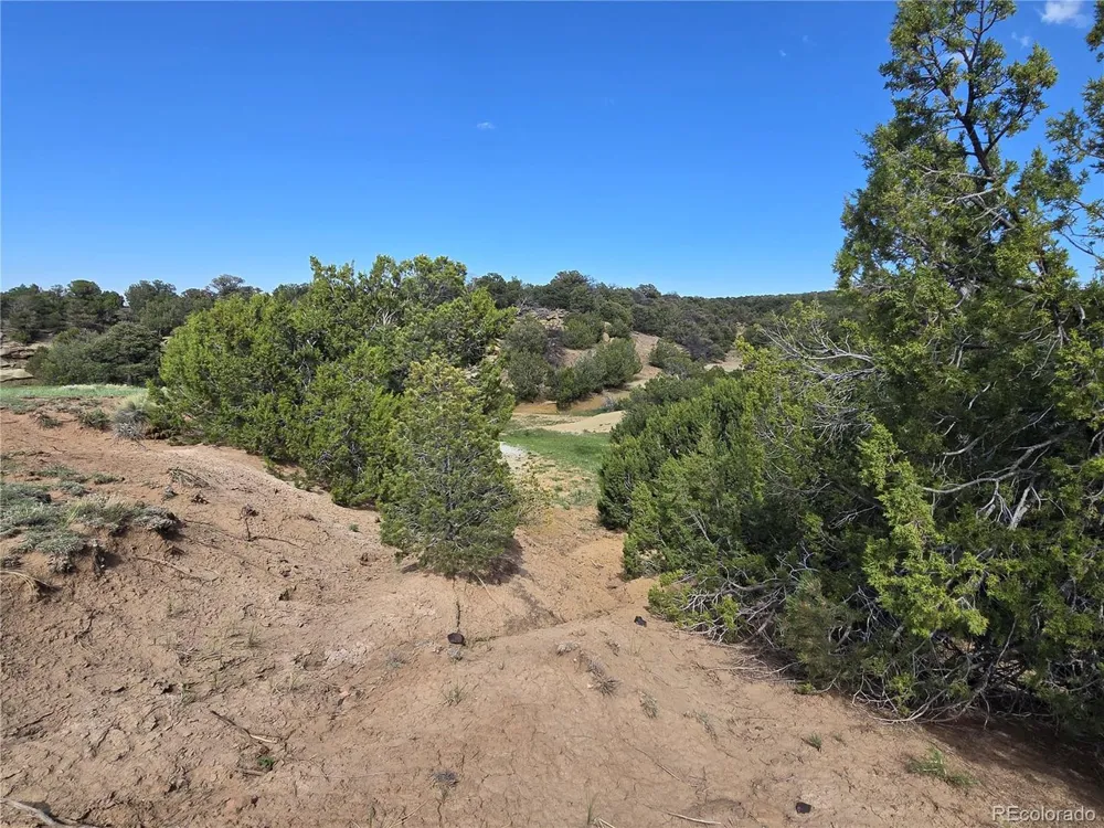 90 River Ridge Ranch Walsenburg, CO 81089