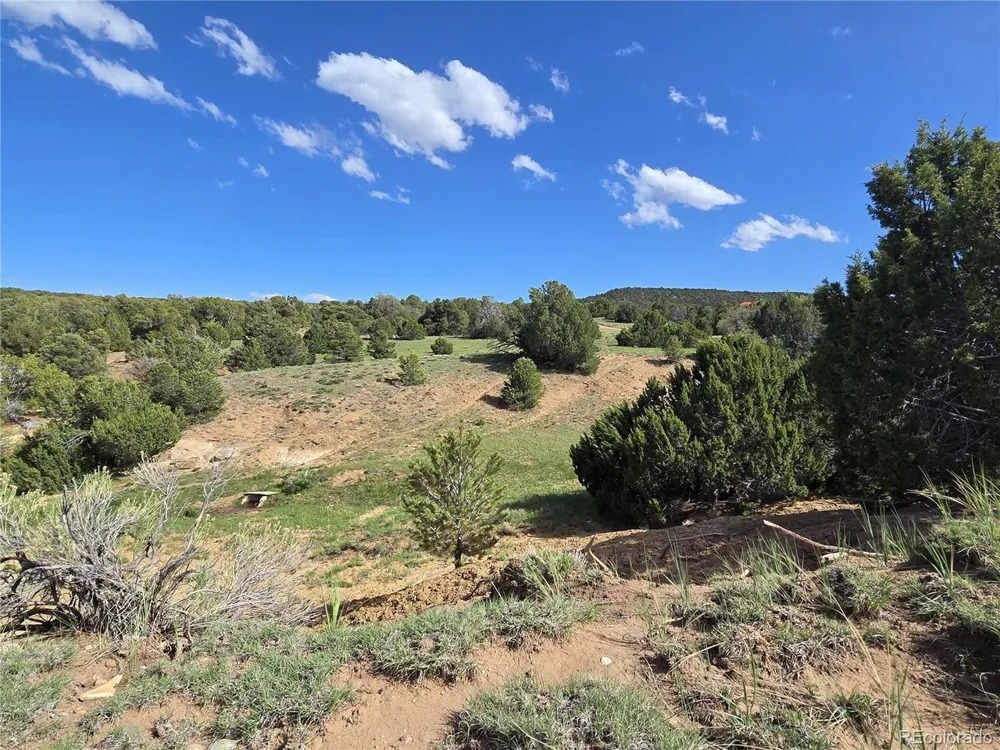 90 River Ridge Ranch Walsenburg, CO 81089