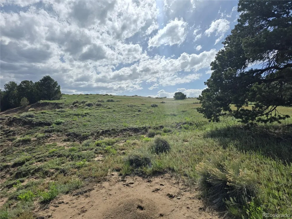 90 River Ridge Ranch Walsenburg, CO 81089