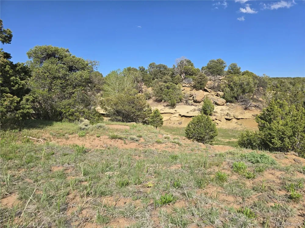 90 River Ridge Ranch Walsenburg, CO 81089