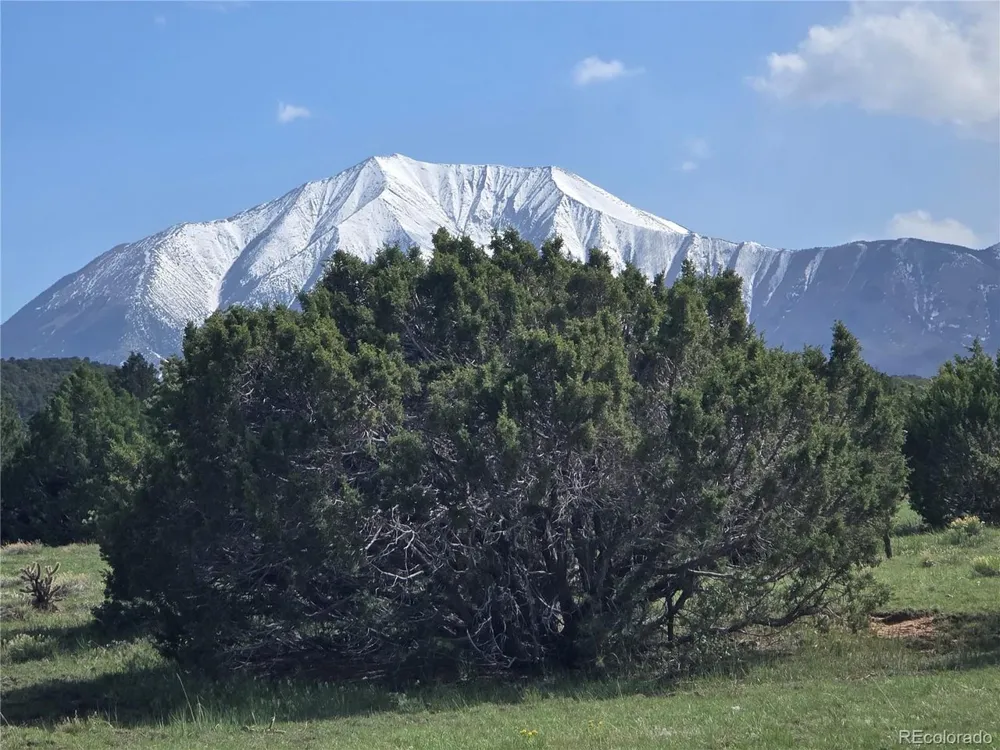 90 River Ridge Ranch Walsenburg, CO 81089