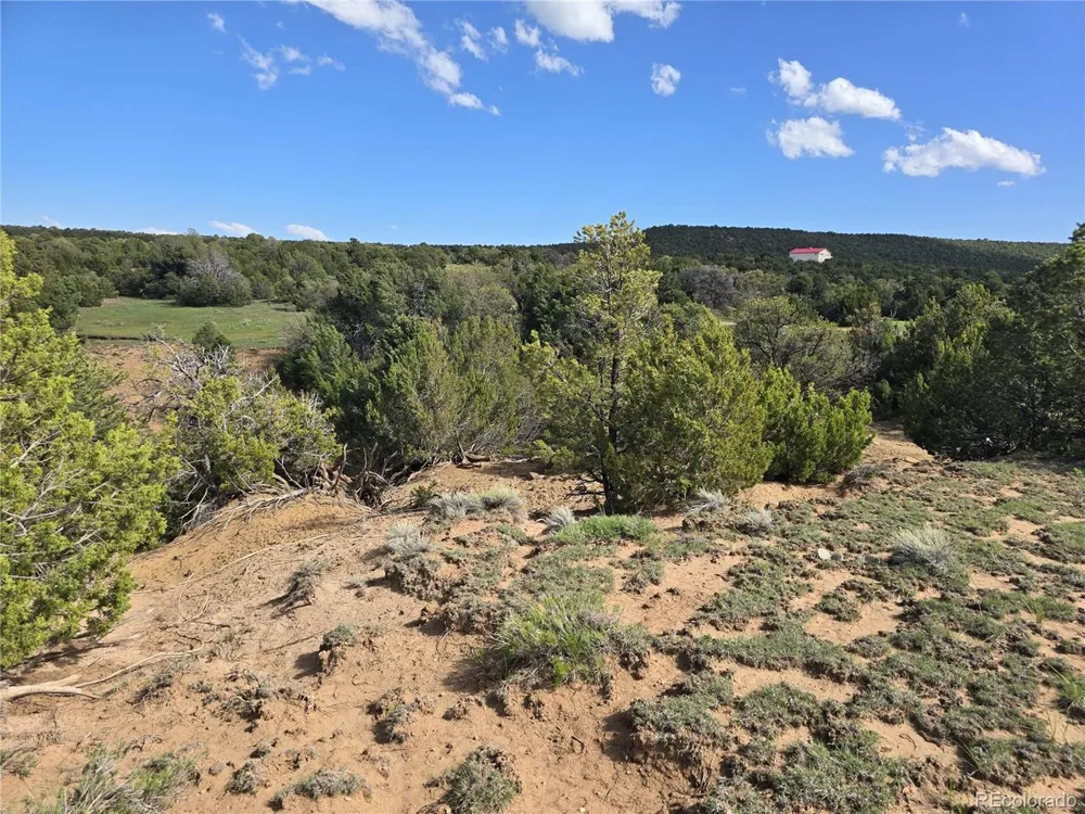 90 River Ridge Ranch Walsenburg, CO 81089