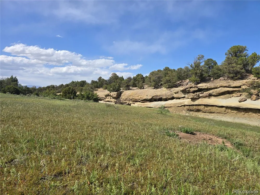 90 River Ridge Ranch Walsenburg, CO 81089