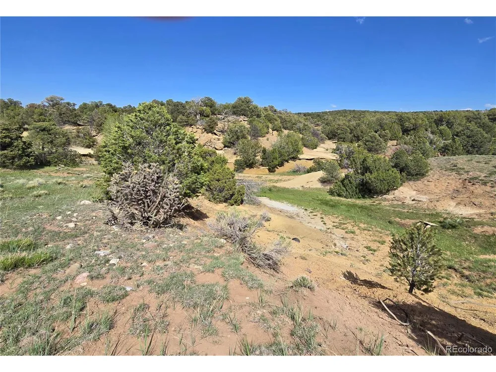 90 River Ridge Ranch Walsenburg, CO 81089