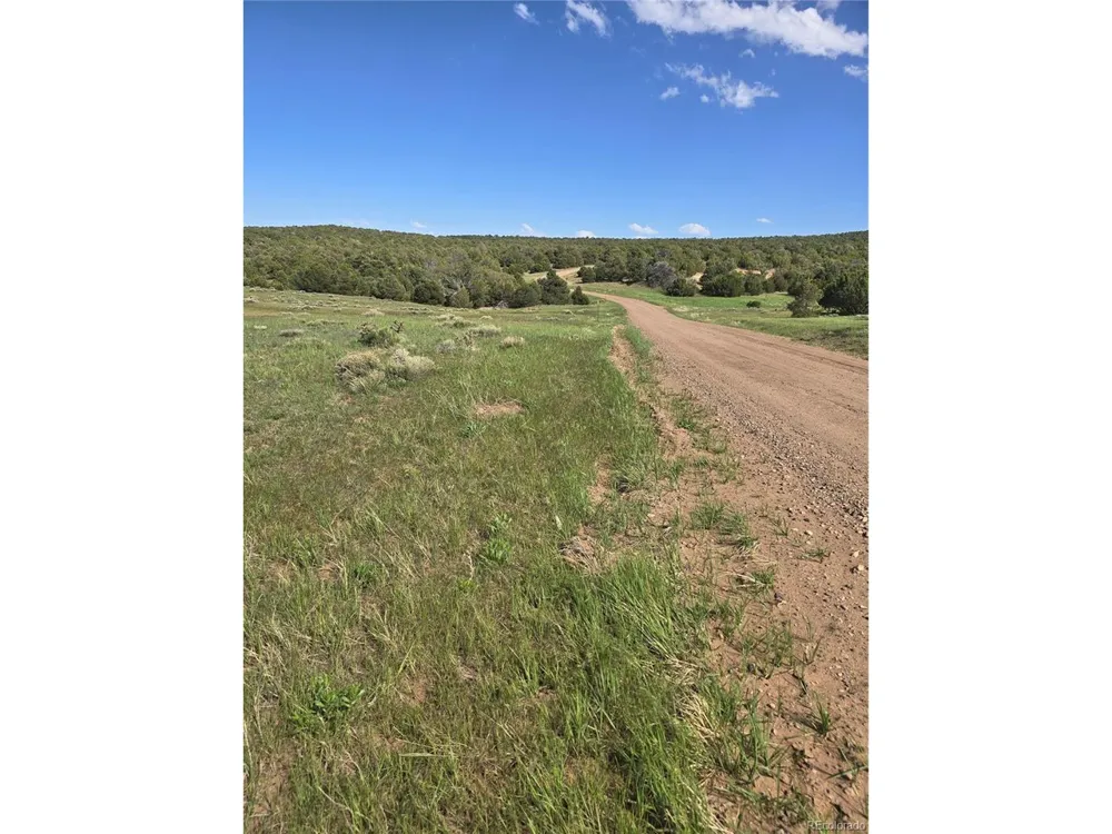 90 River Ridge Ranch Walsenburg, CO 81089