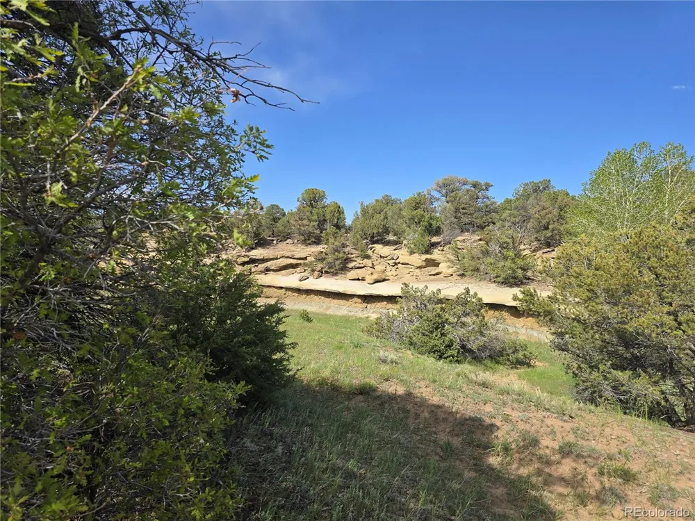 90 River Ridge Ranch Walsenburg, CO 81089