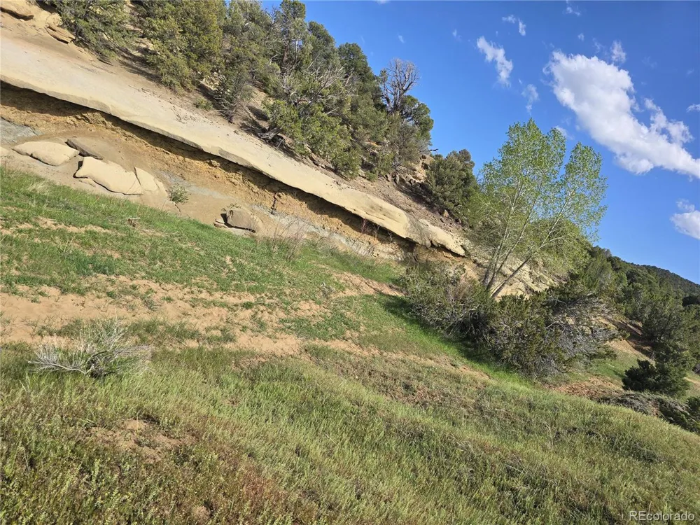 90 River Ridge Ranch Walsenburg, CO 81089
