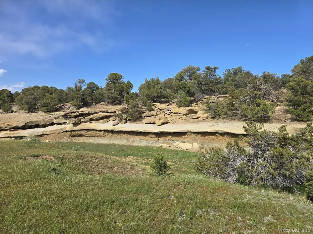 90 River Ridge Ranch Walsenburg, CO 81089