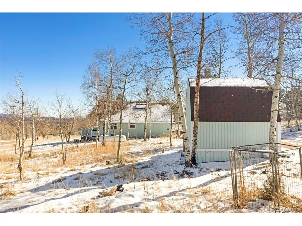 560 S Pine Drive Bailey, CO 80421