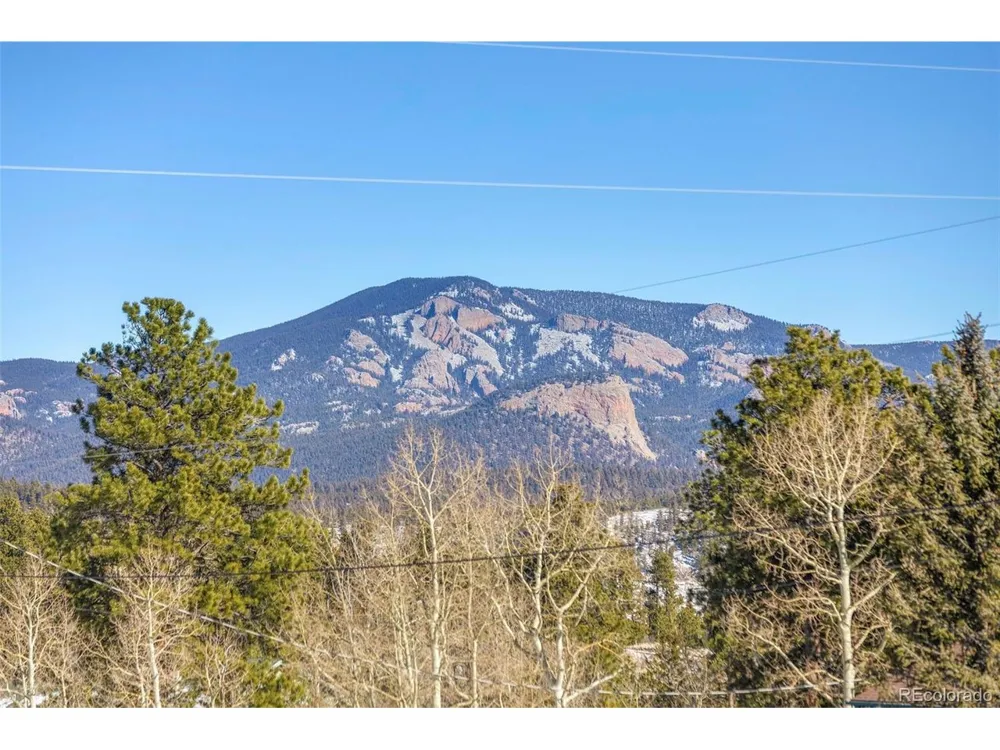 560 S Pine Drive Bailey, CO 80421