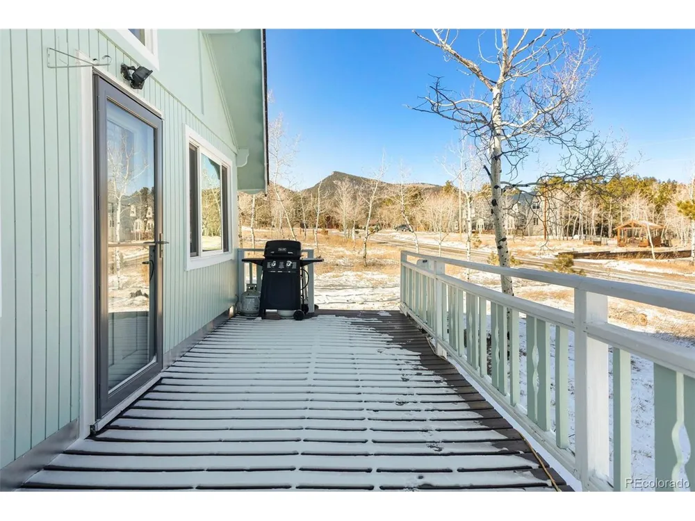 560 S Pine Drive Bailey, CO 80421