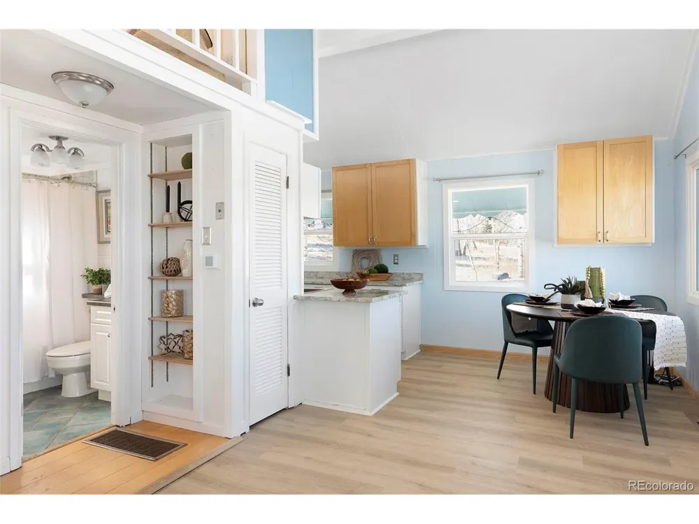 560 S Pine Drive Bailey, CO 80421