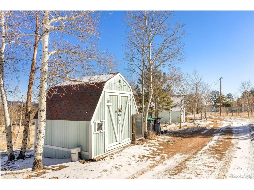 560 S Pine Drive Bailey, CO 80421
