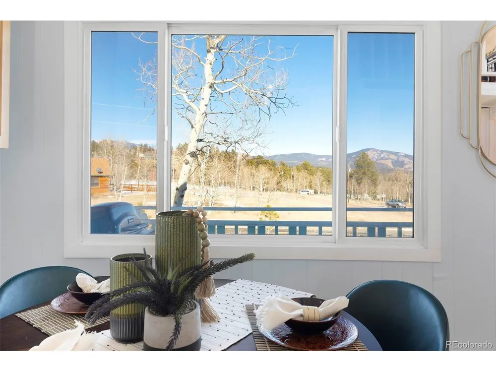 560 S Pine Drive Bailey, CO 80421