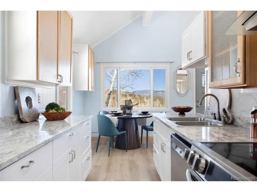 560 S Pine Drive Bailey, CO 80421