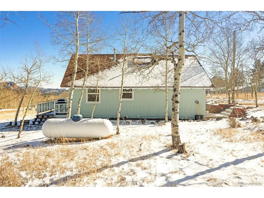 560 S Pine Drive Bailey, CO 80421