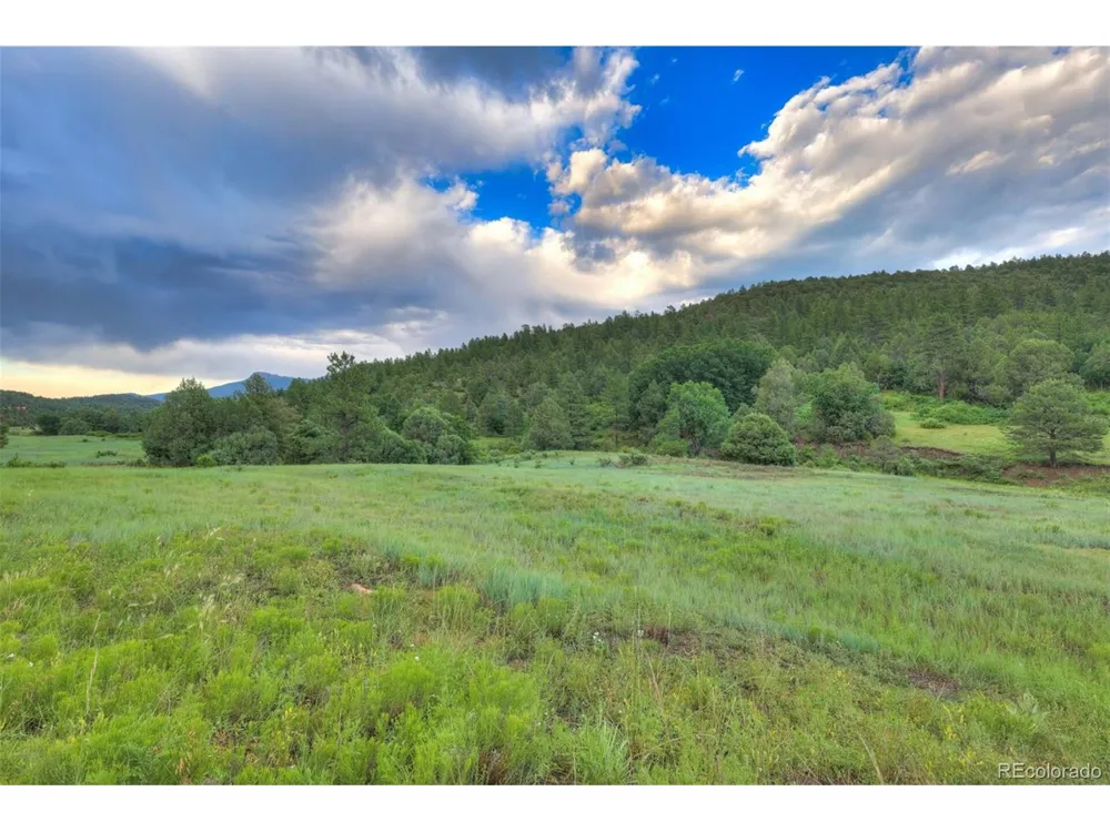 33041 Big Springs Overlook Trinidad, CO 81082