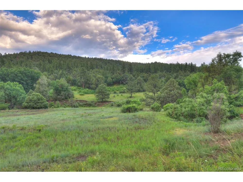 33041 Big Springs Overlook Trinidad, CO 81082