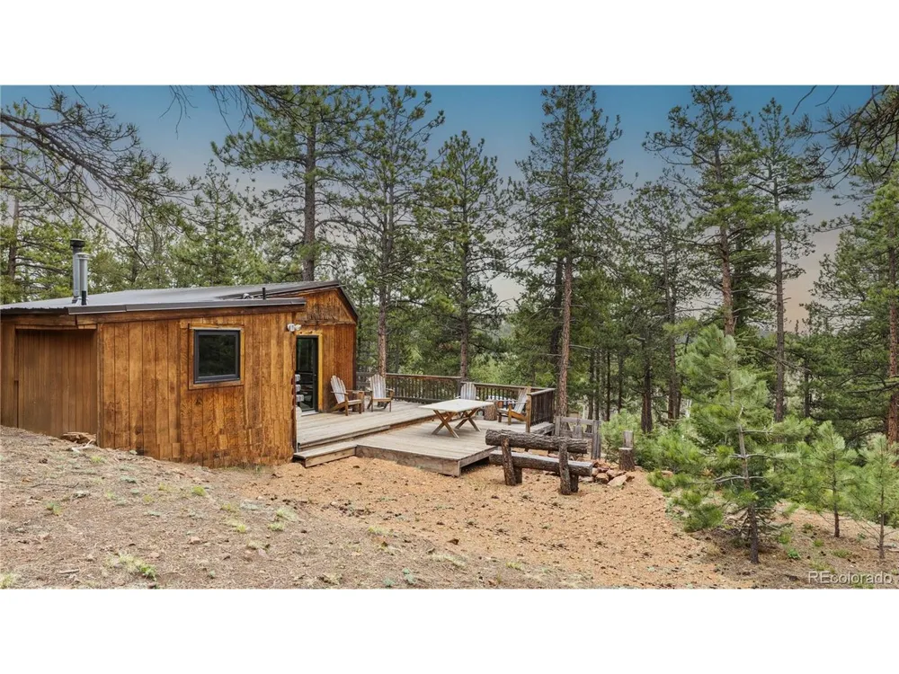 3763 County Road 43 Bailey, CO 80421
