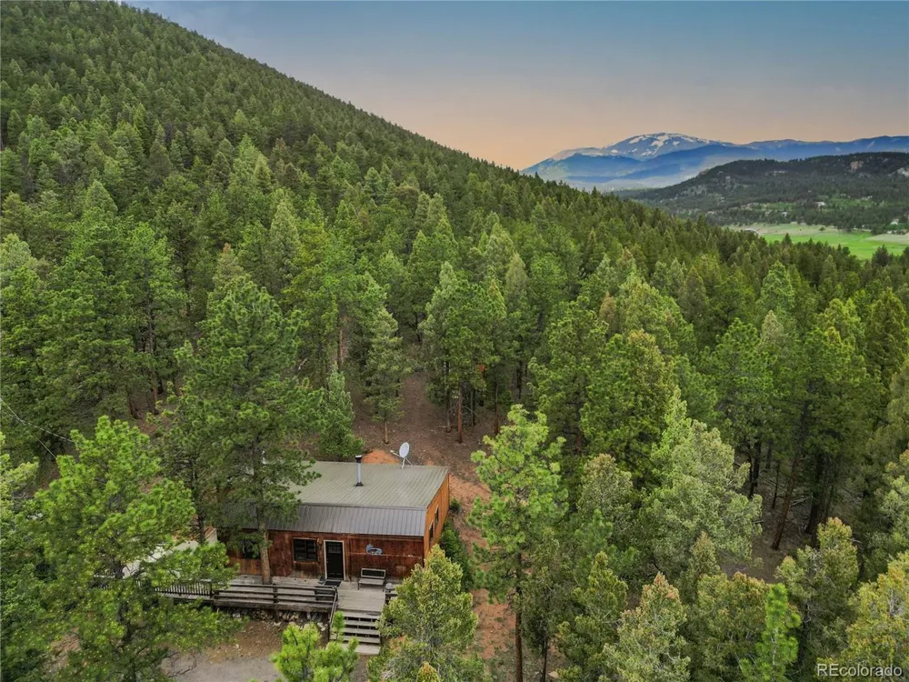 3763 County Road 43 Bailey, CO 80421
