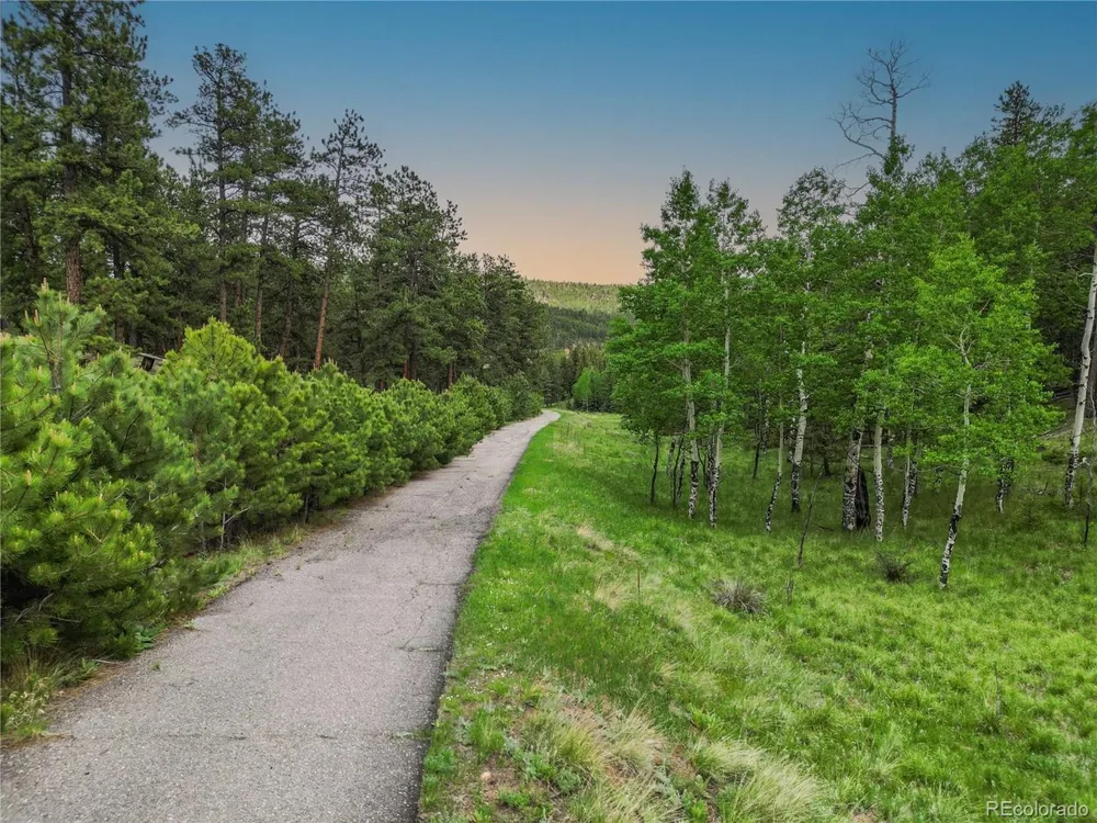 3763 County Road 43 Bailey, CO 80421