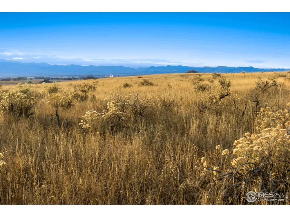 7929 County Road 84 Fort Collins, CO 80524