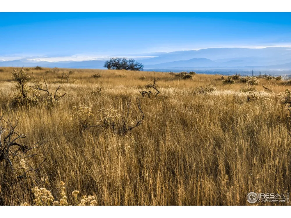 7929 County Road 84 Fort Collins, CO 80524