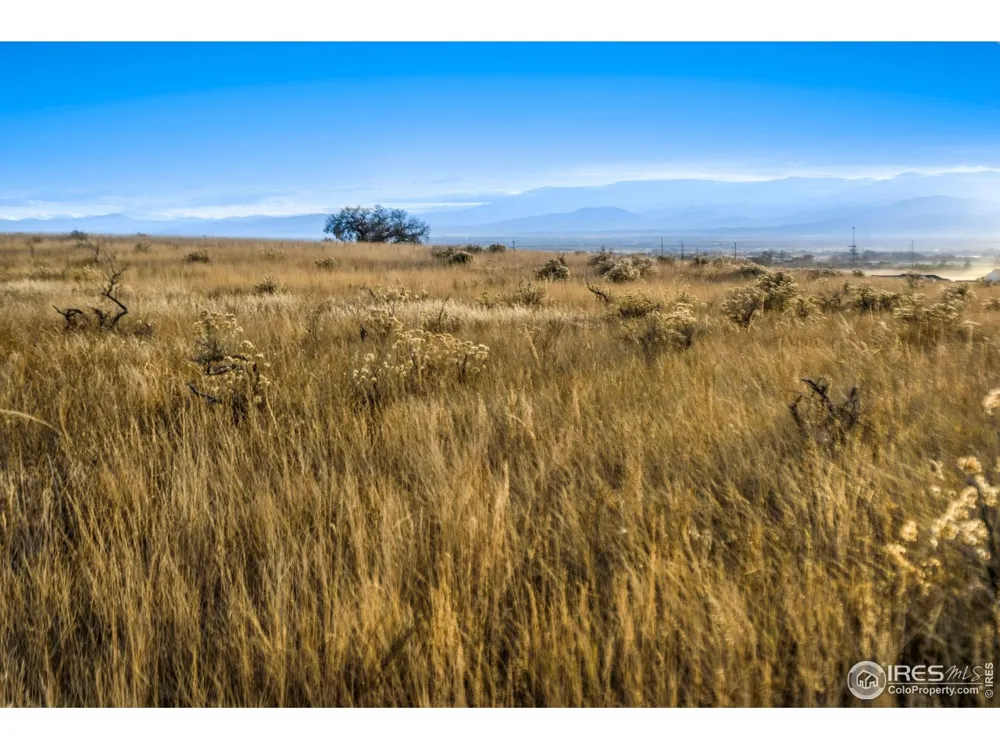 7929 County Road 84 Fort Collins, CO 80524