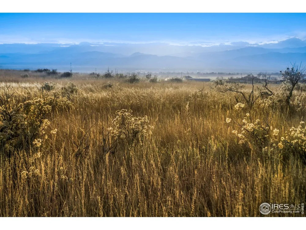 7929 County Road 84 Fort Collins, CO 80524