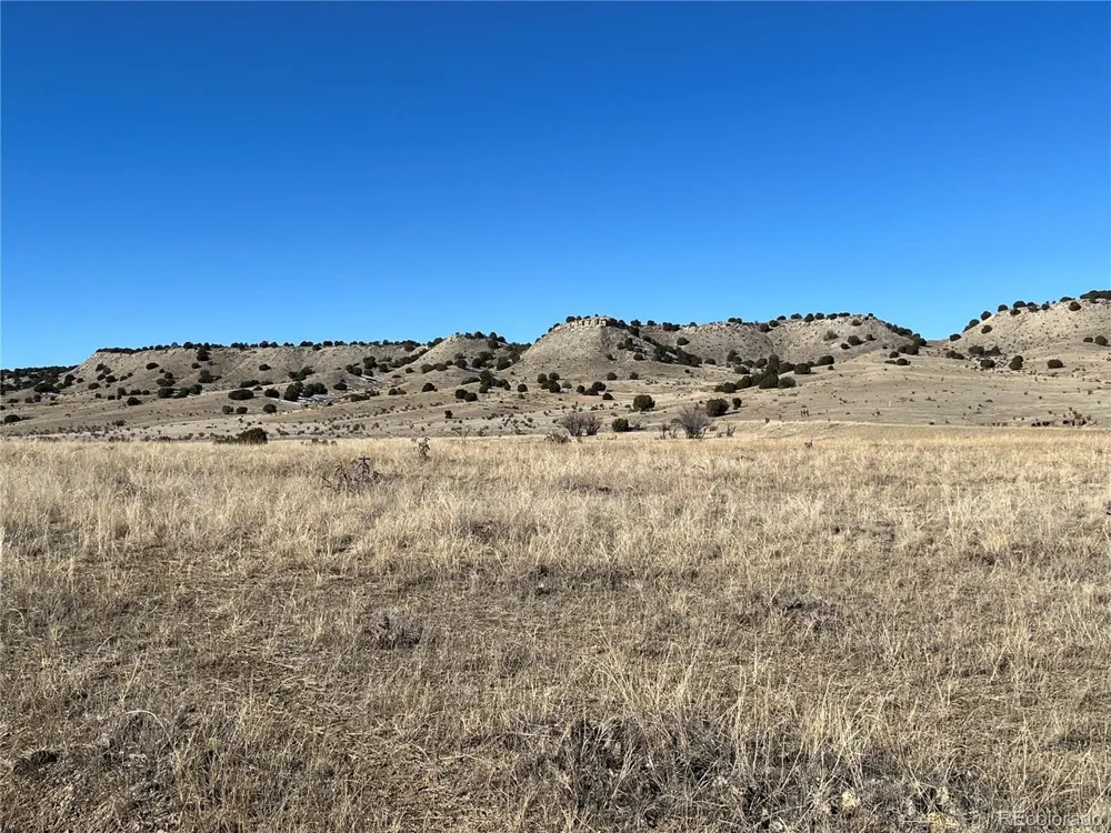 53 Horse Creek Road Pueblo, CO 81004