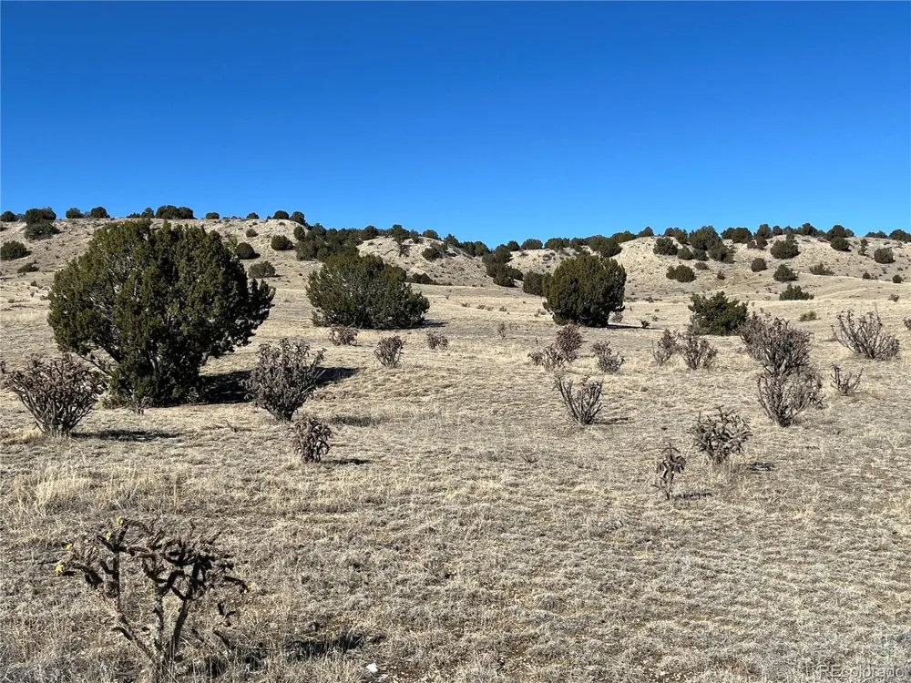 53 Horse Creek Road Pueblo, CO 81004