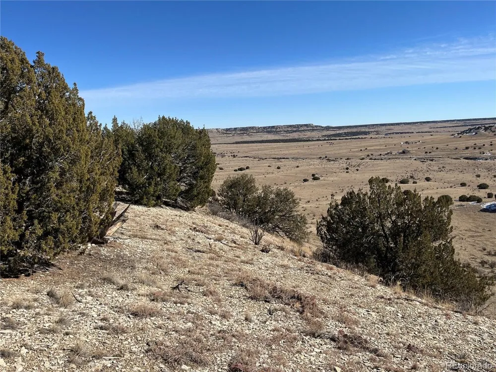 53 Horse Creek Road Pueblo, CO 81004