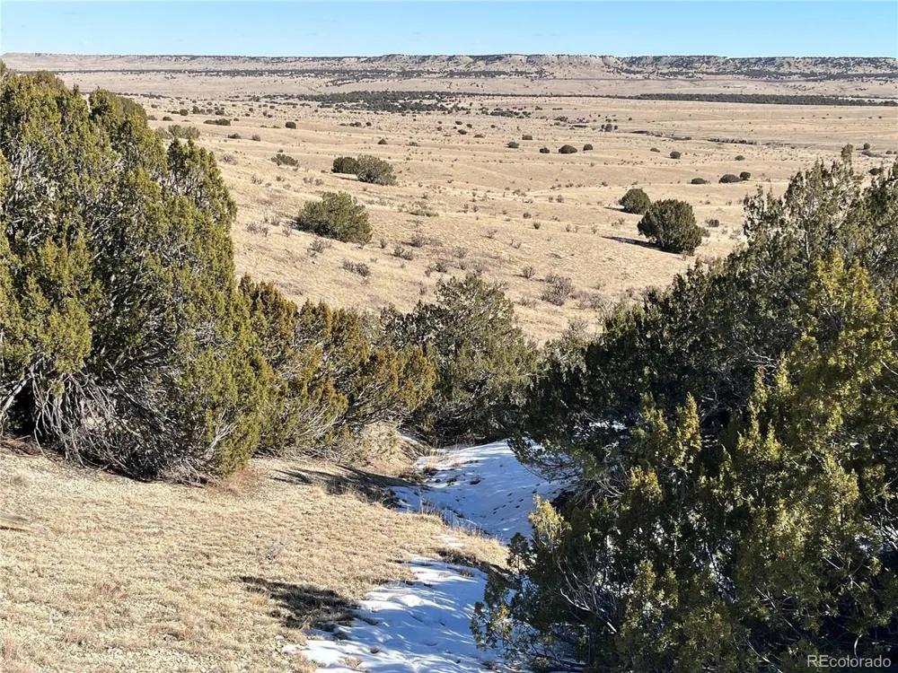 53 Horse Creek Road Pueblo, CO 81004