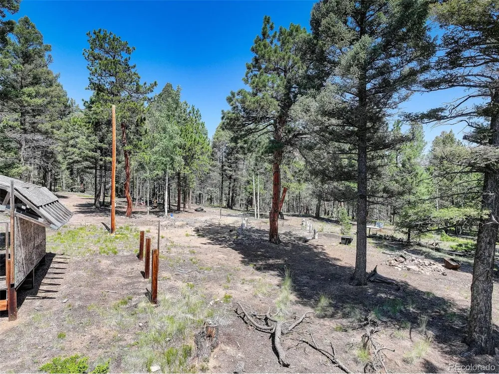 1002 Indian Creek Road Florissant, CO 80816