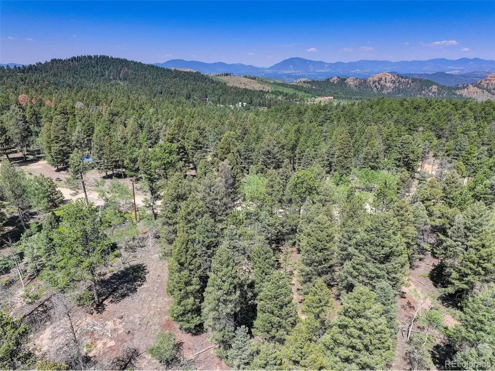 1002 Indian Creek Road Florissant, CO 80816