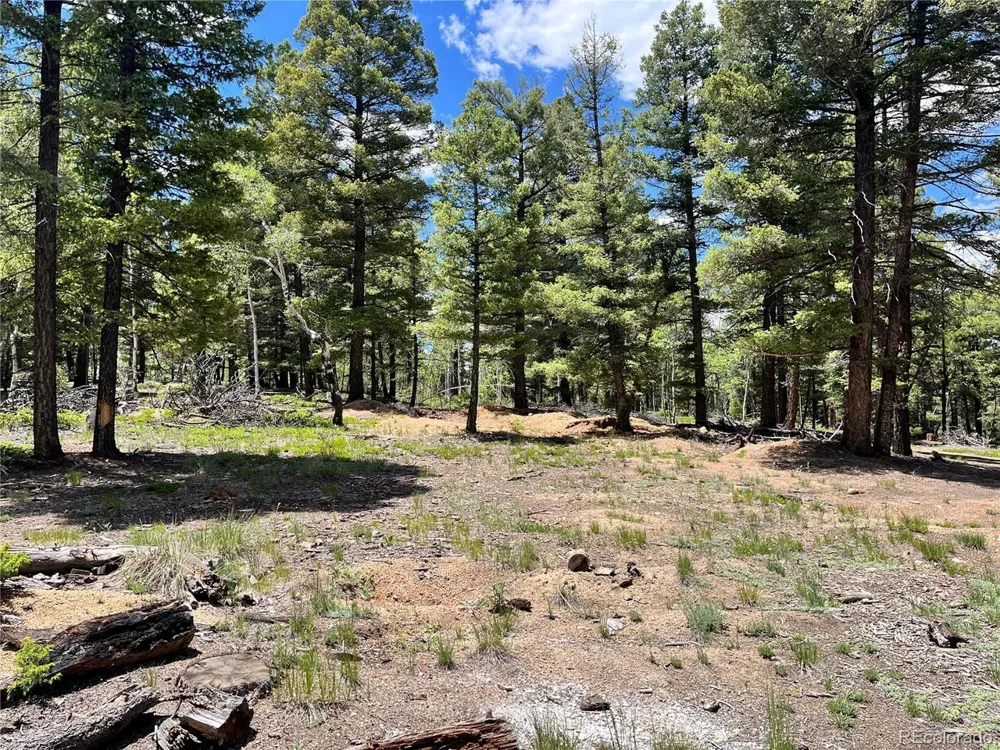 1002 Indian Creek Road Florissant, CO 80816